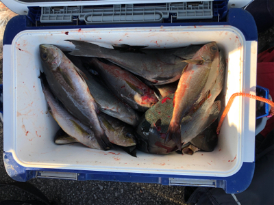 室戸離岸堤にてフカセ