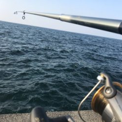 アジのちブリ狙い