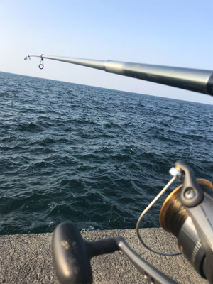 アジのちブリ狙い