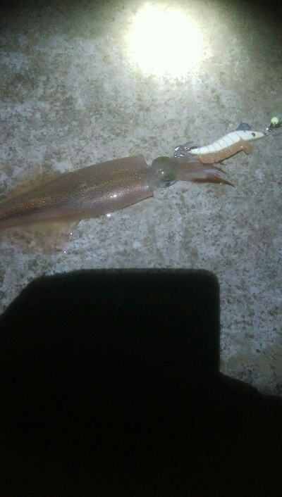 令和2年　初釣行！