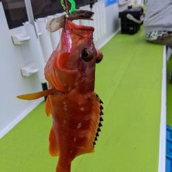 タイラバ ･ 船釣り初め