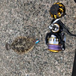 強風の中のショアジギング！