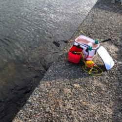 波止フカセ釣り