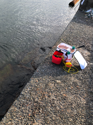 波止フカセ釣り