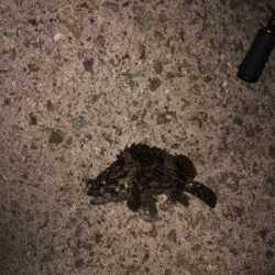 楽しかった(*^o^*)