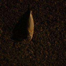 旅行帰りに少しだけ‼︎