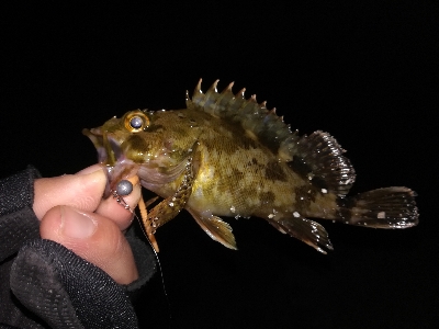 1時間だけライトゲーム