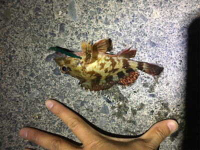 ライトゲーム30分