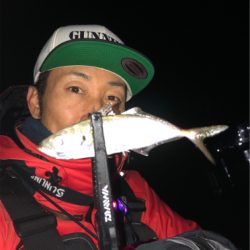 年始はアジメバガシリング☆GUNNING-STYLE