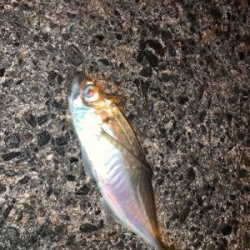 当たりはあるけど