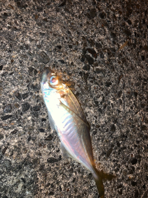 当たりはあるけど