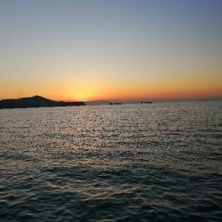 まだ釣れました