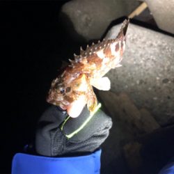 久しぶりにお魚さんに会いたくて！