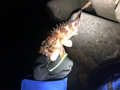 久しぶりにお魚さんに会いたくて！