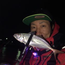 明石アジング☆初心者でも釣れた!
