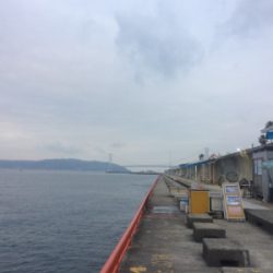 カゴシーズン終了→エビ撒きメバル