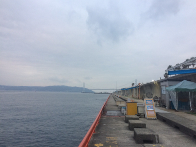 カゴシーズン終了→エビ撒きメバル