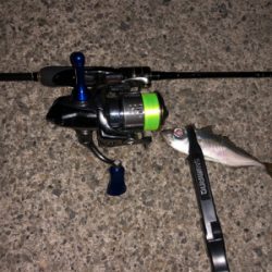 食コンアジング