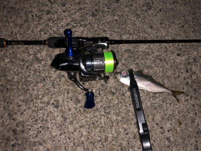 食コンアジング