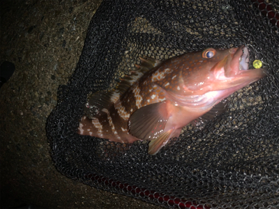 フロートのみに反応