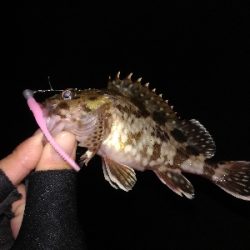 激渋ライトゲーム