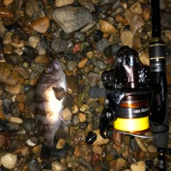 水温下がってきた？