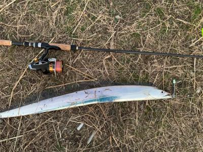 南港タチウオ釣行