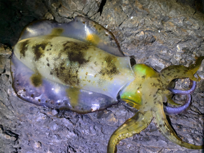 風との付き合い