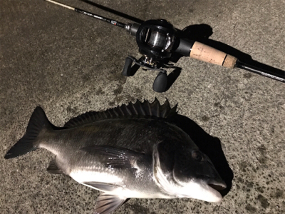 初フィッシュ笑