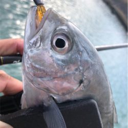 ライトゲーム！