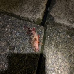 温泉旅行の合間に