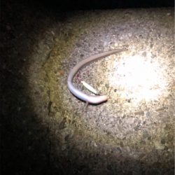 こんな事って⁈