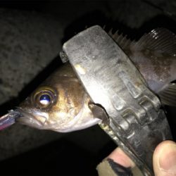 2020ライトゲーム第3戦