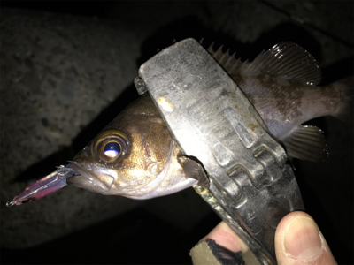 2020ライトゲーム第3戦