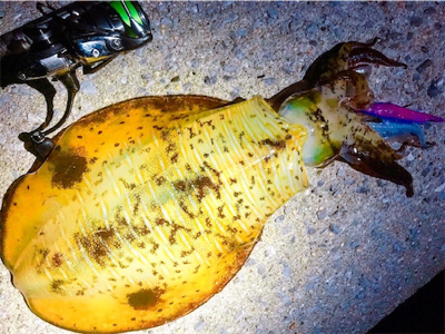 キロアップ2杯！！