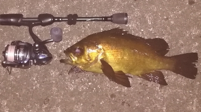 メバリング1840〜2047