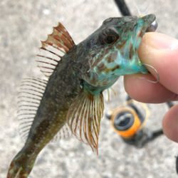 三目ライトゲーム