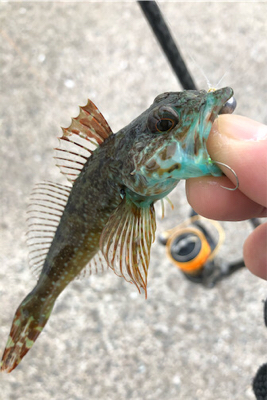 三目ライトゲーム