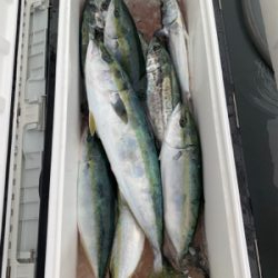 舞鶴DREAM CHASERさんにて