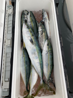 舞鶴DREAM CHASERさんにて