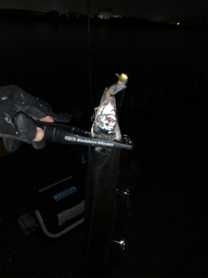 太刀雨中(タチウチュウ)