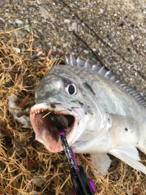 朝早く起きたから