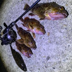 ガシラパーティー