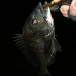 予想外に寒いっ