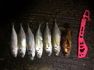 フロートぶっ放して