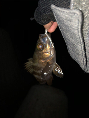 仕事帰りメバリング♫