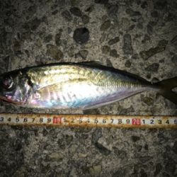 2020 ライトゲーム第4戦