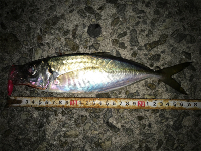 2020 ライトゲーム第4戦