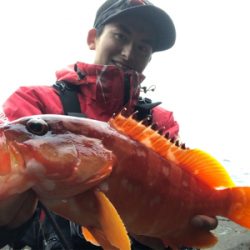 マルヒサ渡船 ウィンターロックフィッシュゲーム