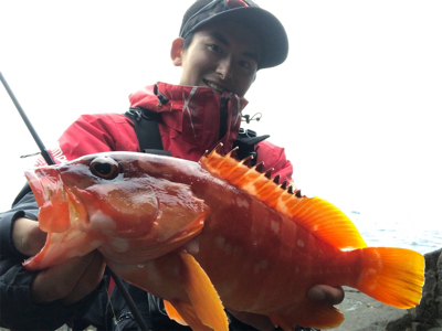 マルヒサ渡船 ウィンターロックフィッシュゲーム